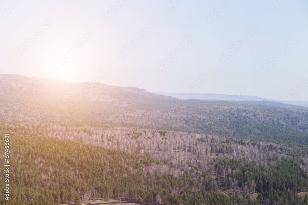 beautiful wild nature, pine forests, high mountains, landscape, summer, sun
