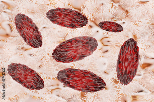 Brucella bacteria  is the cause of brucellosis Medical 3D Illustration rendering
