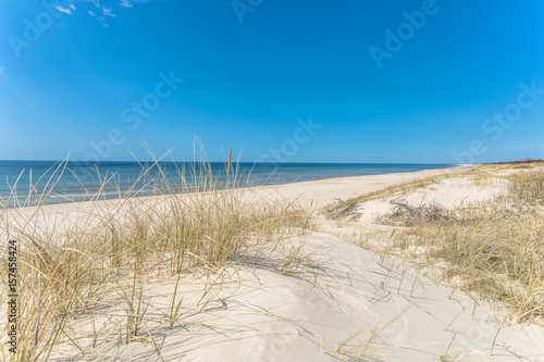 wisp grass and dunes © Aldas