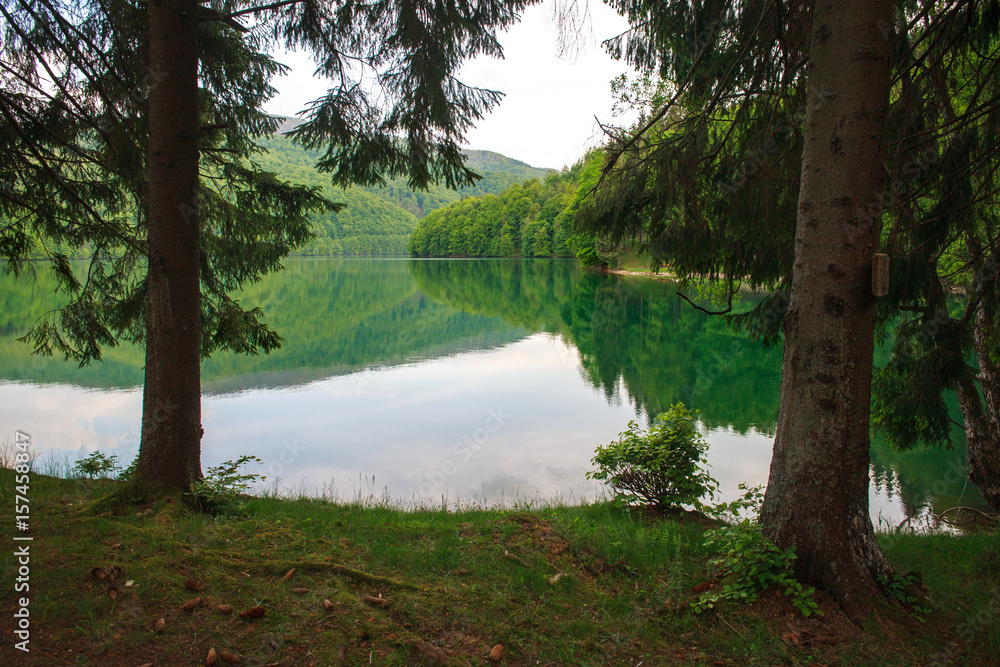 View from the shore through the pine trees to the mountain lake View from the shore through the pine trees to the mountain lake