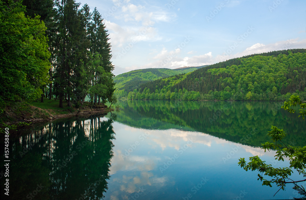 Obraz premium Shore pine forest near lake on background green mountains