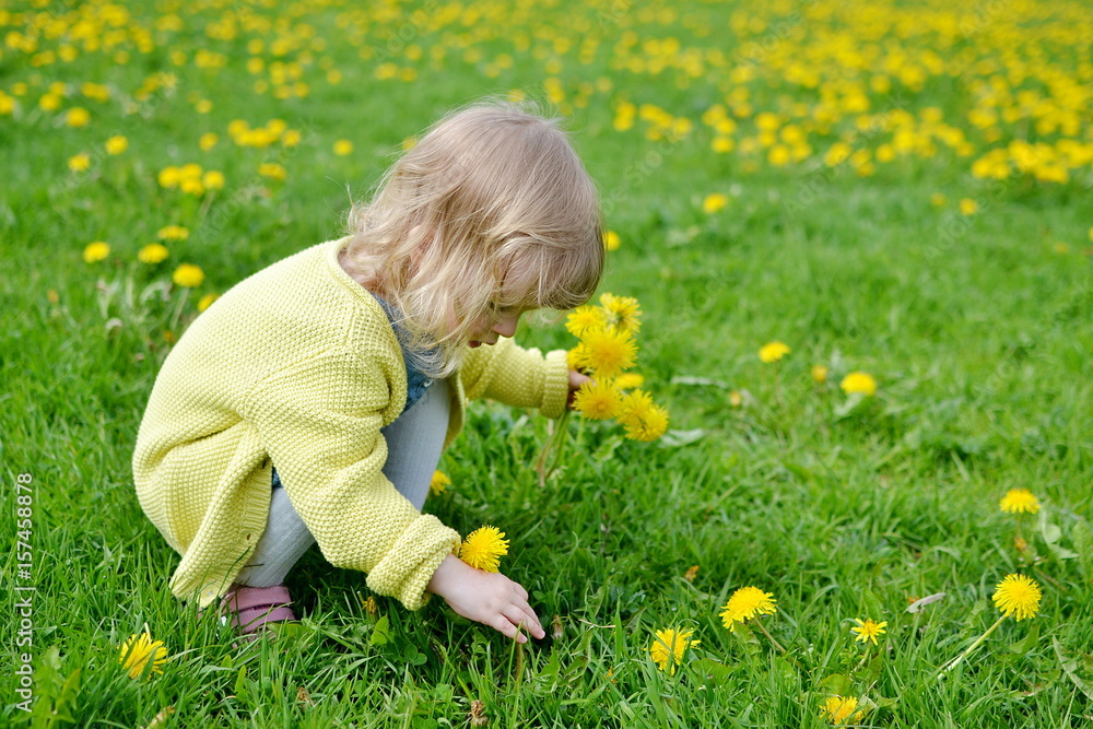 Fototapeta premium Cute little girl walking in the park with dandelion flowers