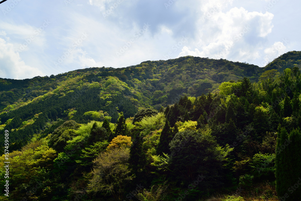 鹿嵐山 鹿嵐山