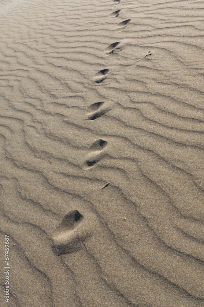Footsteps on the sand Footsteps on the sand