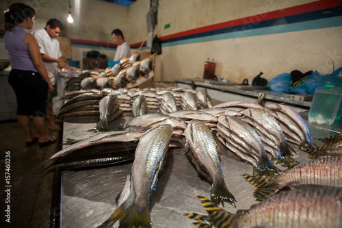 Fishes on fishmonger in Manaus - Amazon
