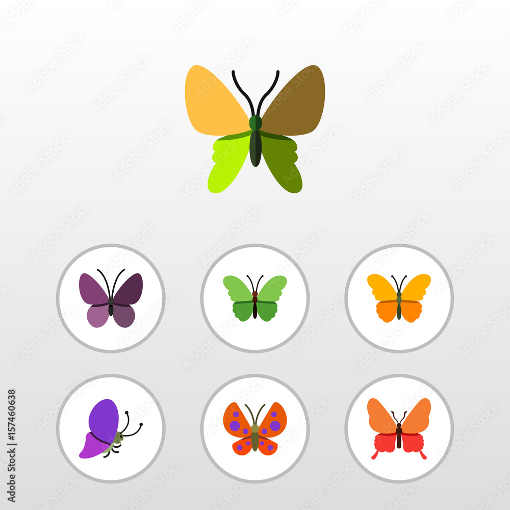 Flat Monarch Set Of Milkweed, Danaus Plexippus, Summer Insect And Other ...