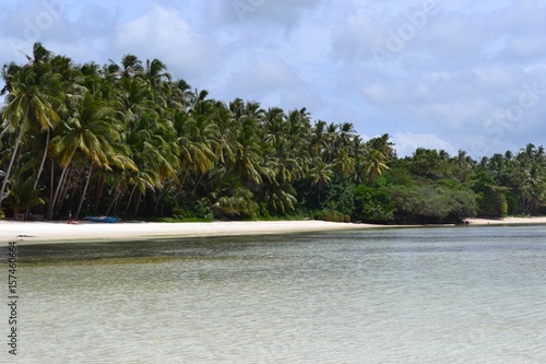 ocean with beach and palms