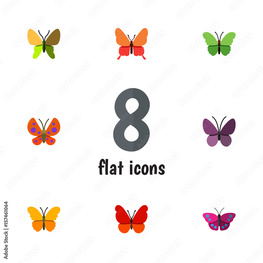 Flat Monarch Set Of Butterfly, Monarch, Archippus And Other Vector ...