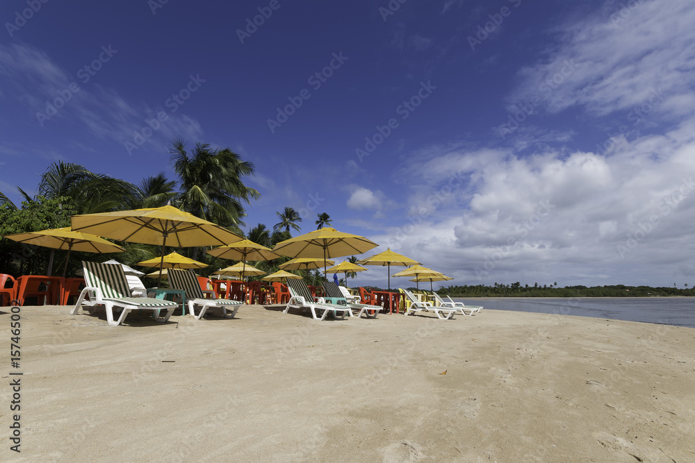 Umbrellas and beach chairs on beautiful tropical beach and sea and blue sky, vacation concept