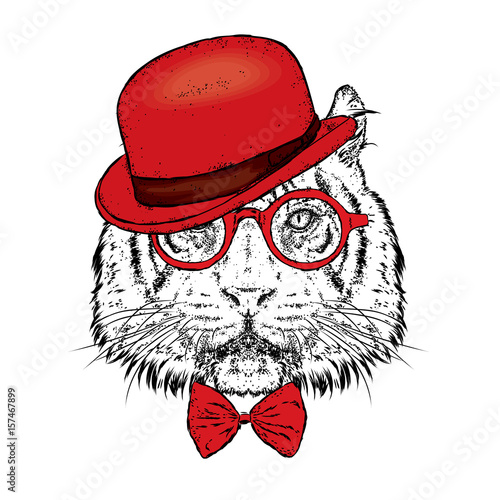 Fototapeta Naklejka Na Ścianę i Meble -  A beautiful tiger with a hat and glasses. Vector illustration. Wild animal, predator.