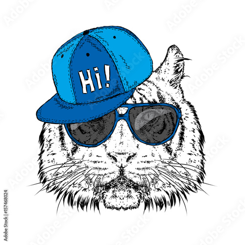 Fototapeta Naklejka Na Ścianę i Meble -  A beautiful tiger in a cap and glasses. Vector illustration. Wild animal, predator.
