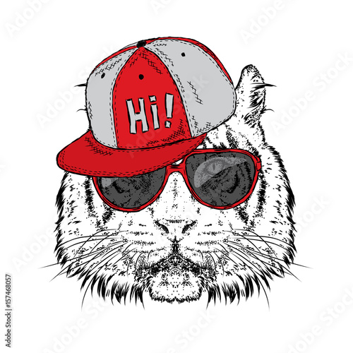 Fototapeta Naklejka Na Ścianę i Meble -  A beautiful tiger in a cap and glasses. Vector illustration. Wild animal, predator.