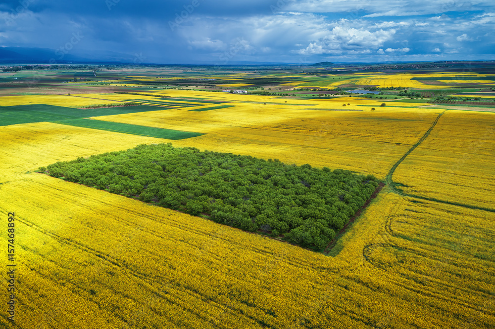 Fototapeta premium Aerial view over the agricultural fields