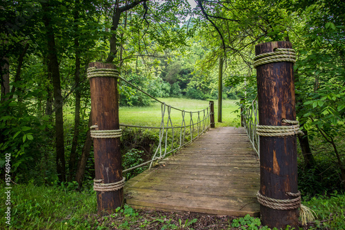 Walking Bridge in Forest Park 
