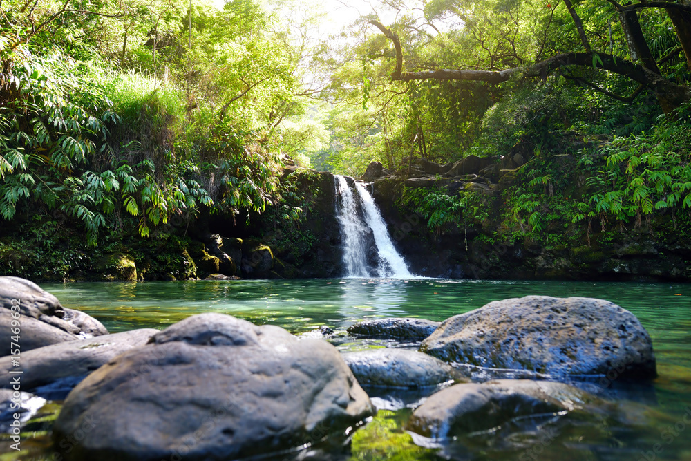 Tropical waterfall Lower Waikamoi Falls and a small crystal clear pond, inside of a dense tropical rainforest, off the Road to Hana Highway, Maui, Hawaii Tropical waterfall Lower Waikamoi Falls and a small crystal clear pond, inside of a dense tropical rainforest, off the Road to Hana Highway, Maui, Hawaii