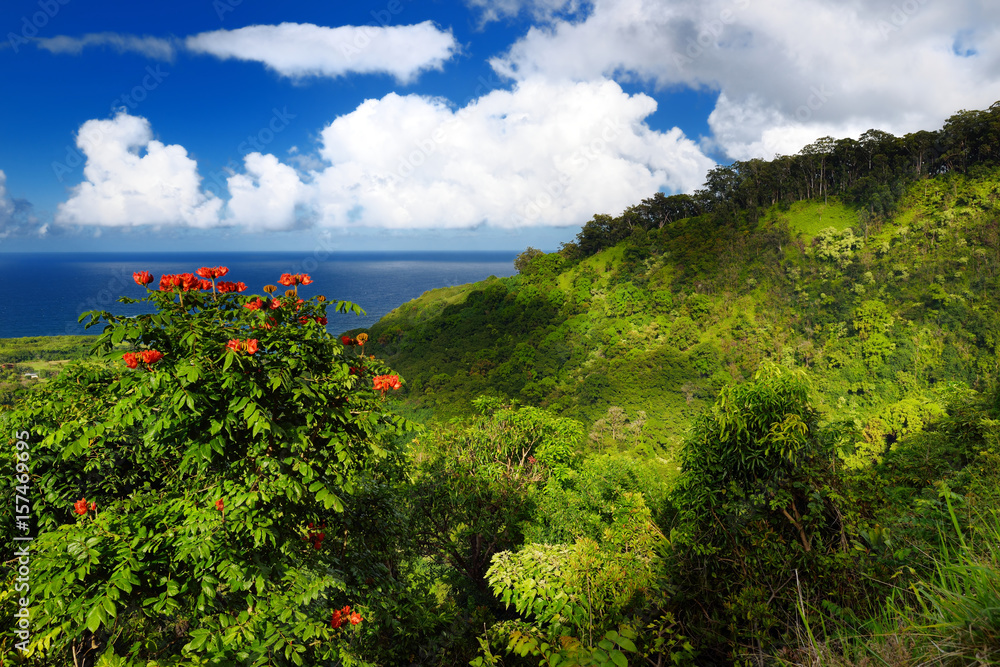 Beautiful views of Maui North coast seen from famous winding Road to Hana