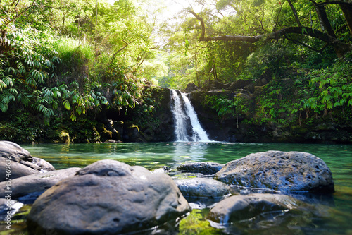 Fototapeta Naklejka Na Ścianę i Meble -  Tropical waterfall Lower Waikamoi Falls and a small crystal clear pond, inside of a dense tropical rainforest, off the Road to Hana Highway, Maui, Hawaii