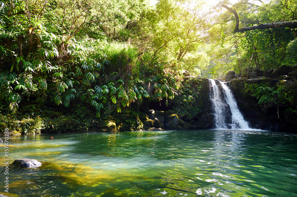 Naklejka premium Tropical waterfall Lower Waikamoi Falls and a small crystal clear pond, inside of a dense tropical rainforest, off the Road to Hana Highway, Maui, Hawaii