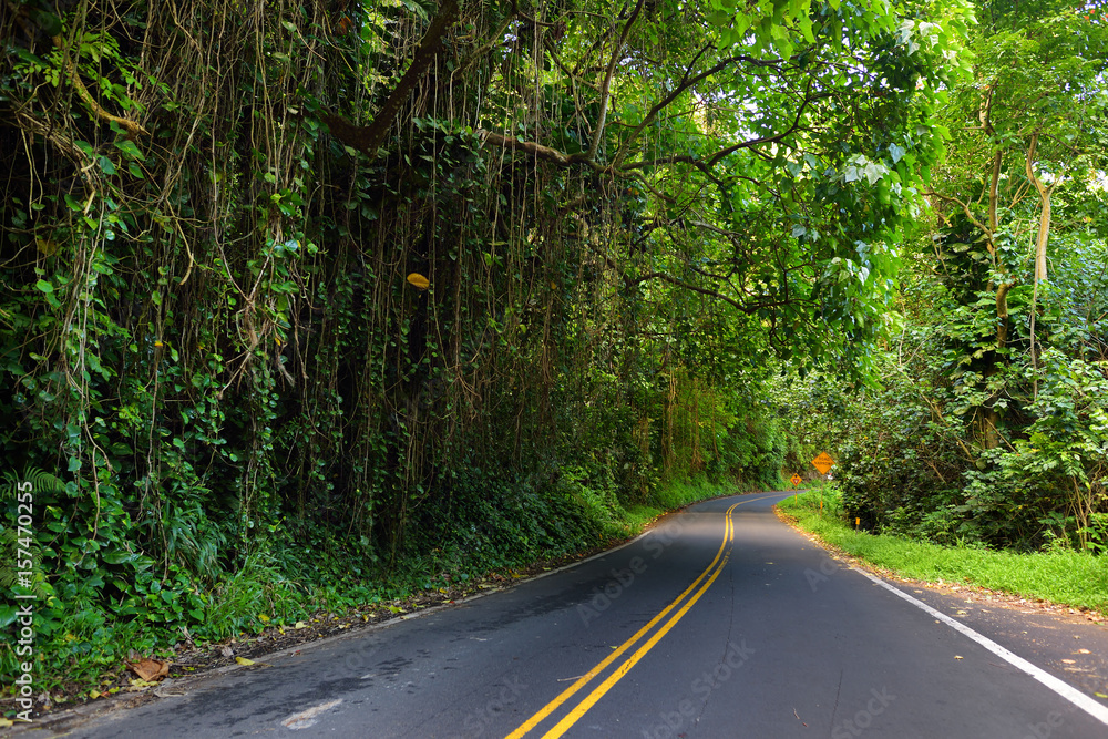 Obraz premium Famous Road to Hana fraught with narrow one-lane bridges, hairpin turns and incredible island views, Maui, Hawaii