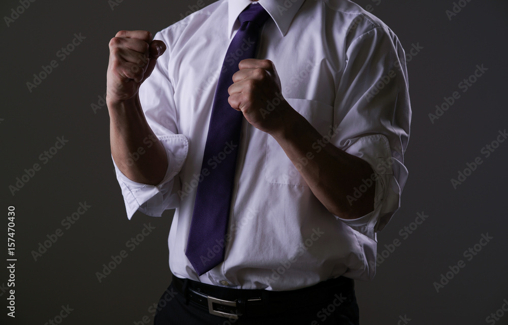 ビジネスマン ワイシャツ ネクタイ ガッツポーズ Stock 写真 Adobe Stock