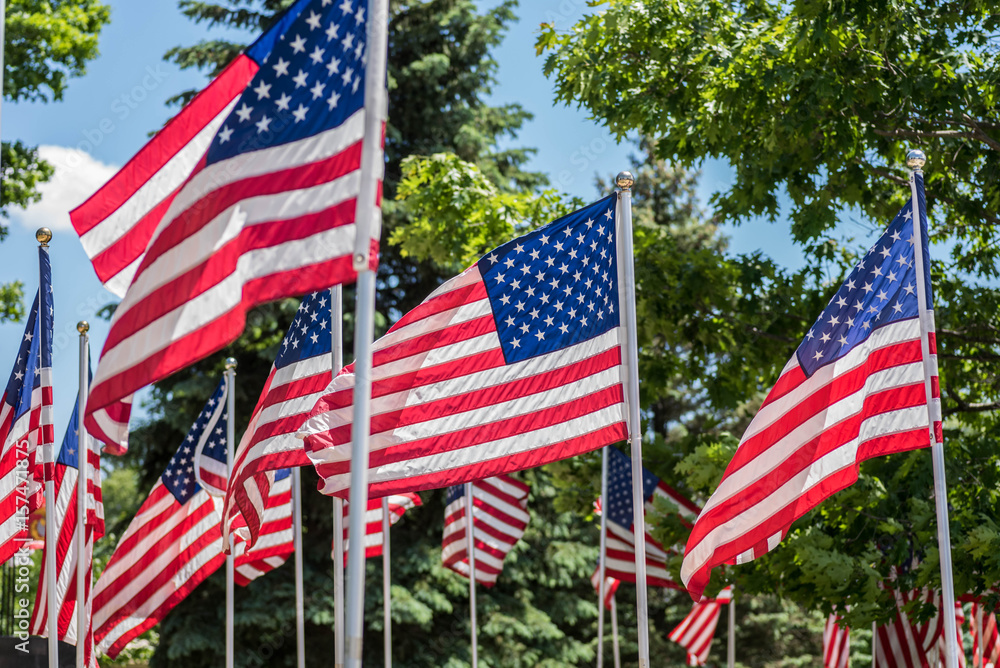 US flags waving on flagpoles outside in park on sunny day