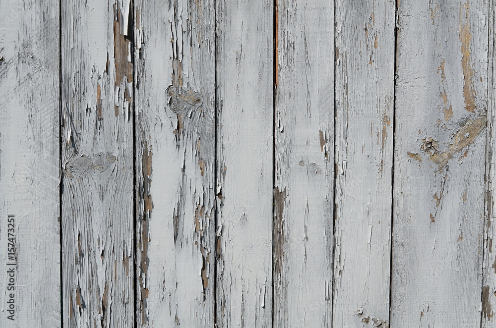 
Background of old gray boards standing upright.