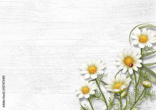 Daisy chamomile flowers on wooden background. View with copy space