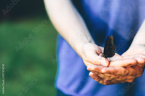 Butterfly perched on a man's hands