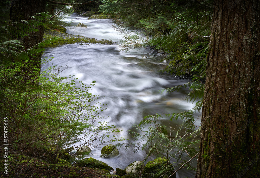 Brandywine Creek, Whistler. Brandywine Creek just above the falls. Whistler, British Columbia, Canada.
Brandywine Creek, Whistler. Brandywine Creek just above the falls. Whistler, British Columbia, Canada.
