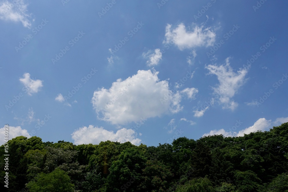 初夏の青空