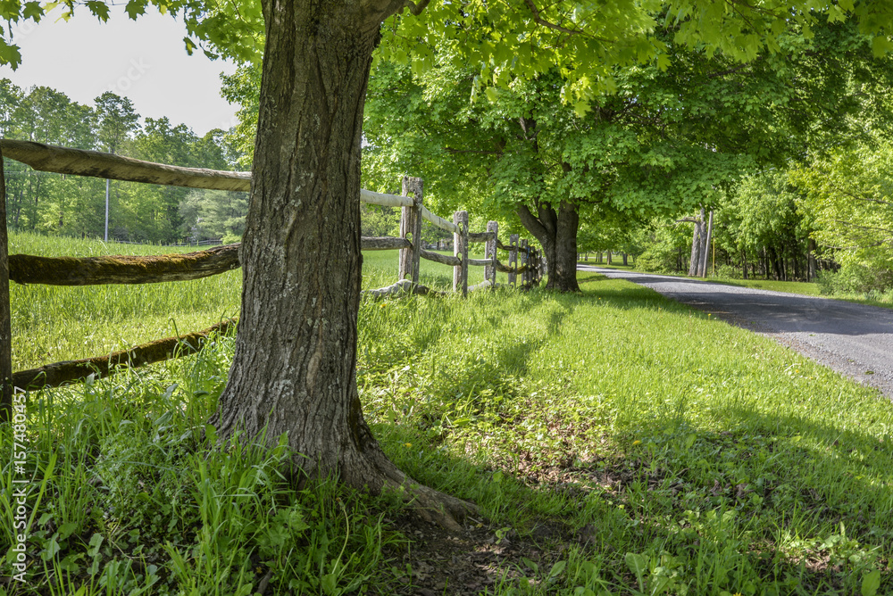 Fototapeta premium fence along the road