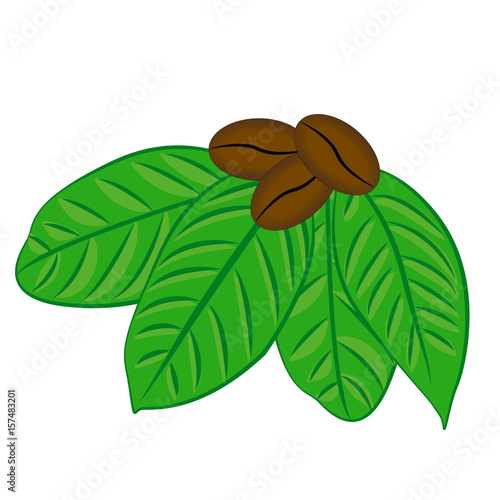 Coffee beans / seeds and leaves flat color icon for food apps