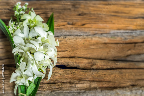 white orchid flower on old wood vintage background