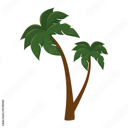 tree palm beach isolated icon vector illustration design