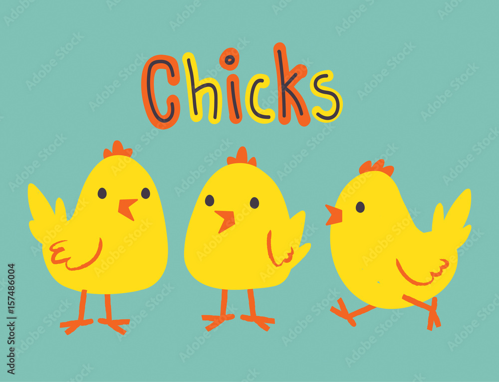 little chicken set