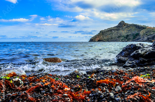 Fotografie On the coast of the Black sea.