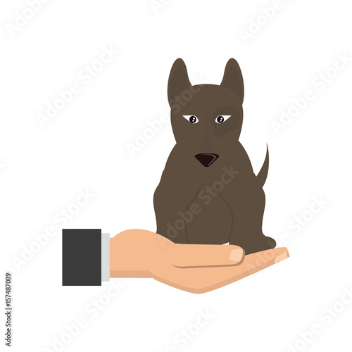 human hand holding dog pet veterinary concept vector illustration