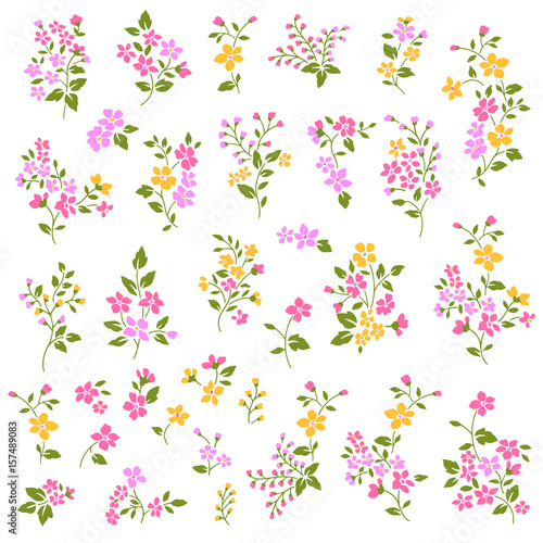 花のイラスト素材
