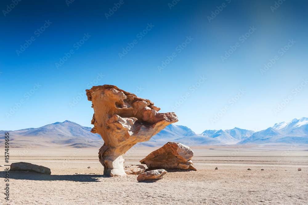 Stone tree on the plateau Altiplano, Bolivia