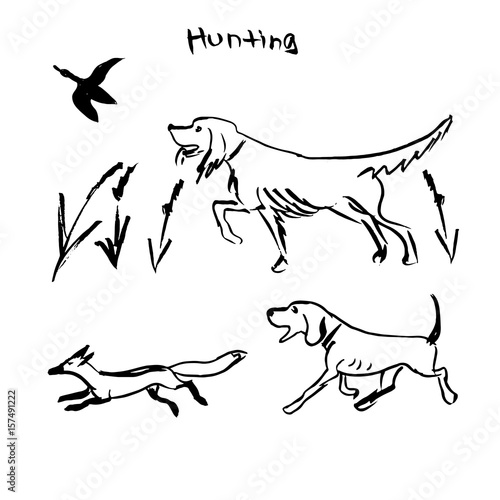 Hand Drawn Vector Dogs Set, Hunting Dogs. Ink Illustration.