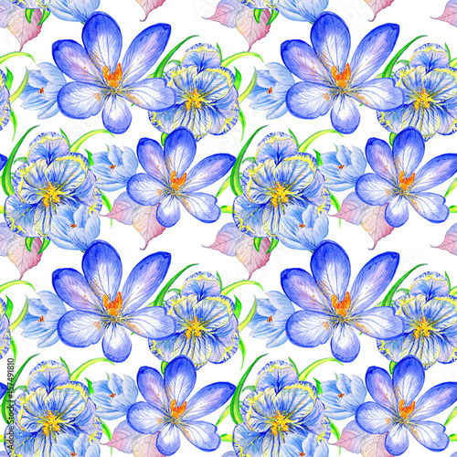 Wildflower crocuses flower pattern in a watercolor style isolated.