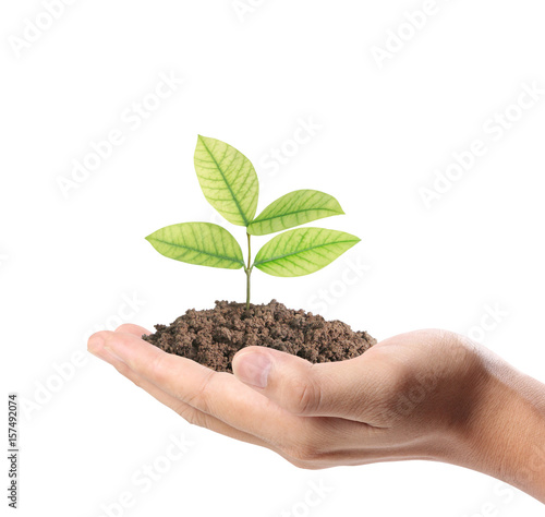  hands holding plant