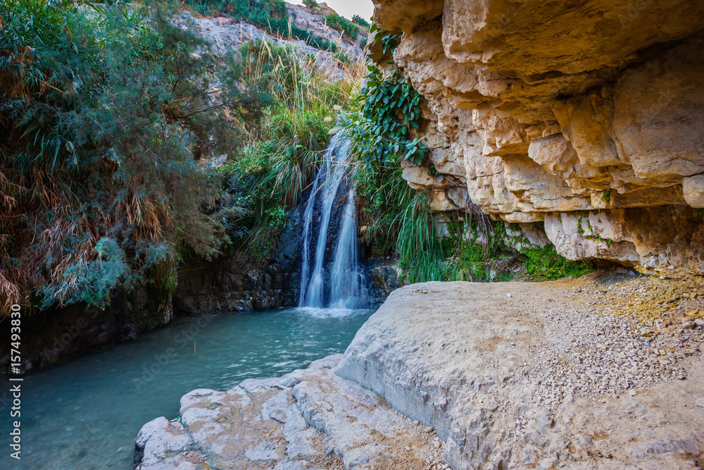 Fototapeta premium Wodospad i mały sceniczny staw