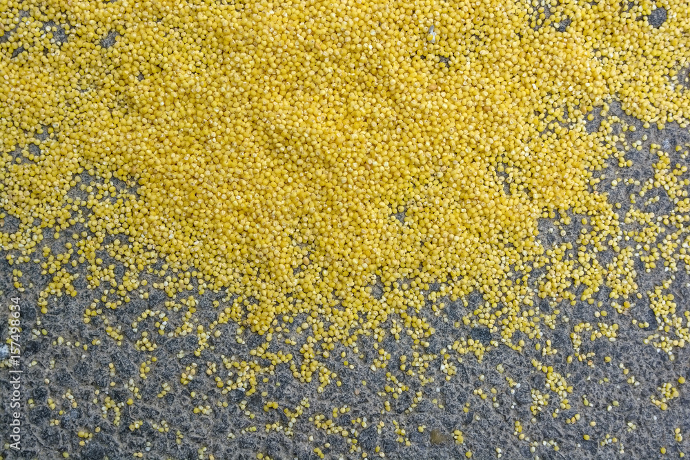 Millet seeds on grey asphalt for background Millet seeds on grey asphalt for background