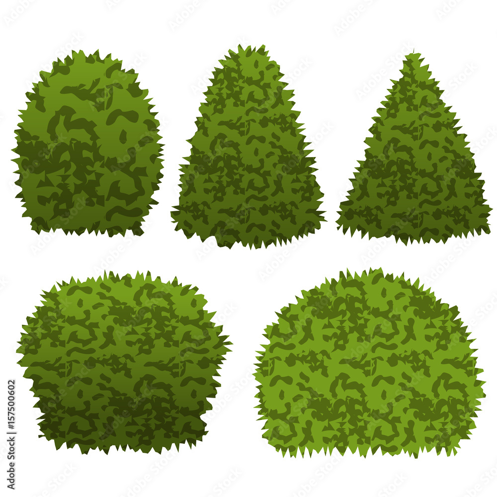Set of garden bushes for topiary garden scene. Vector illustration
