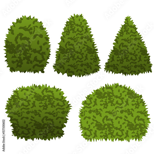 Set of garden bushes for topiary garden scene. Vector illustration photo