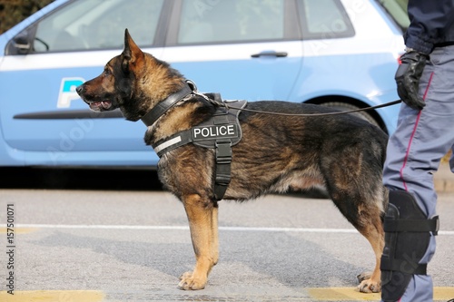 Canine Unit of the police for the detection of explosive material