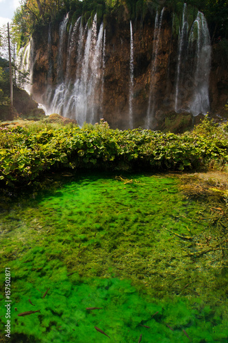 Fototapeta Naklejka Na Ścianę i Meble -  Waterfall and pond with fish in National Park Plitvice Lakes, Croatia, Europe