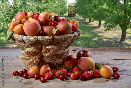 Cesto di frutta con frutteto