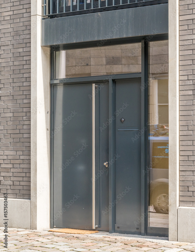 Fototapeta premium Moderne Eingangstür eines Hauses